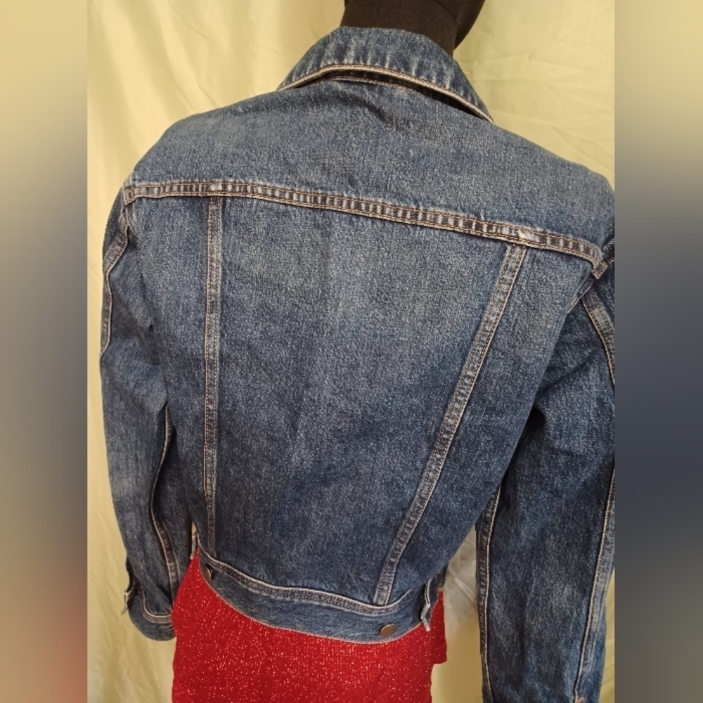 Everlane The Shrunken Denim Jacket - Picture 7 of 11